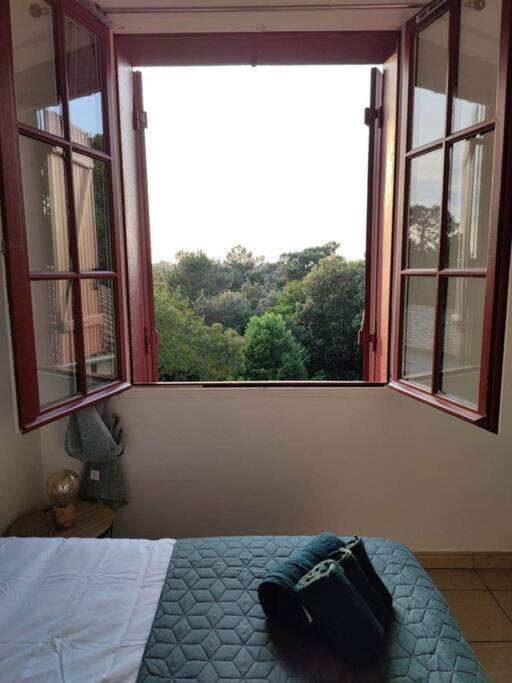 Arcachon Appartement 4 Personnes - Residence Beausejour Eksteriør bilde